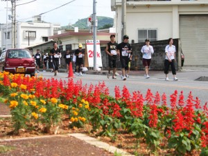 地域住民が植えた花々