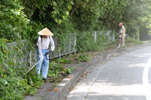 道にはみ出た雑草を刈る