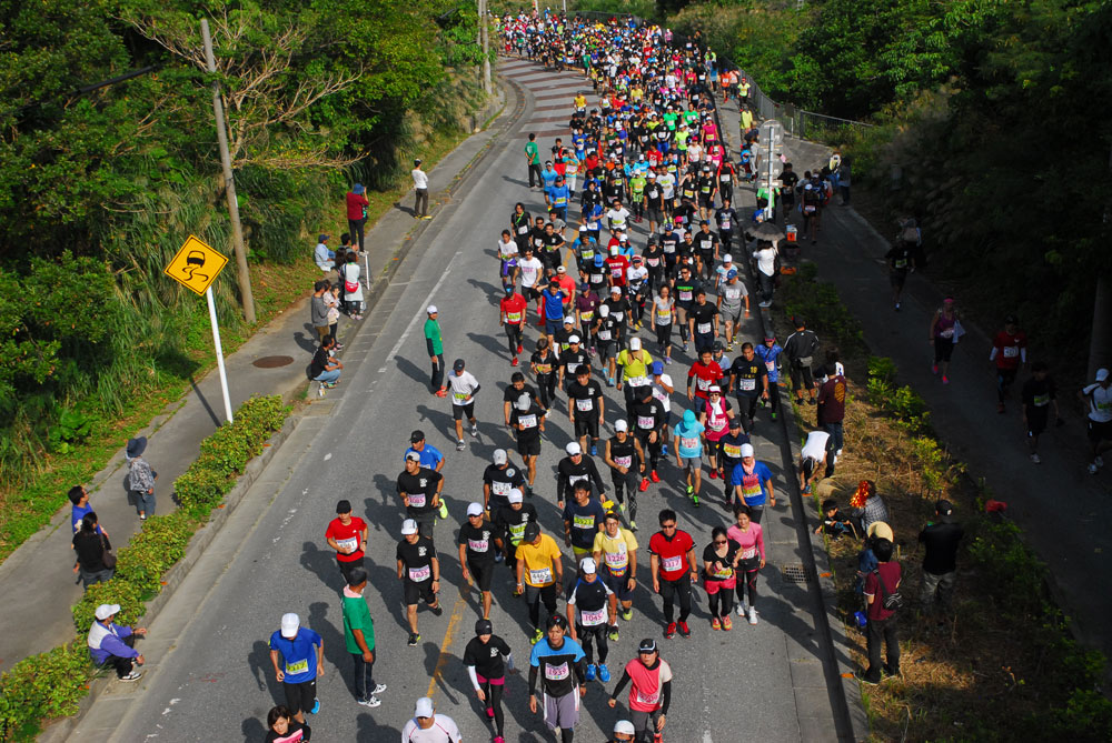 2015年第14回大会