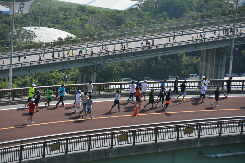 2015年第14回大会