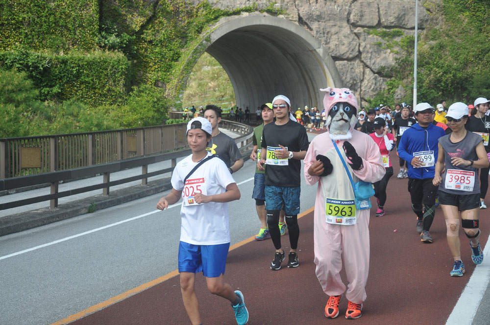 2015年第14回大会