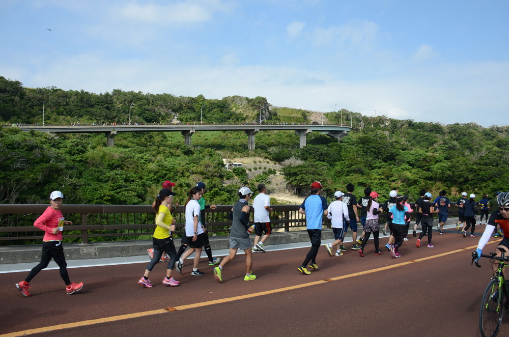 2015年第14回大会
