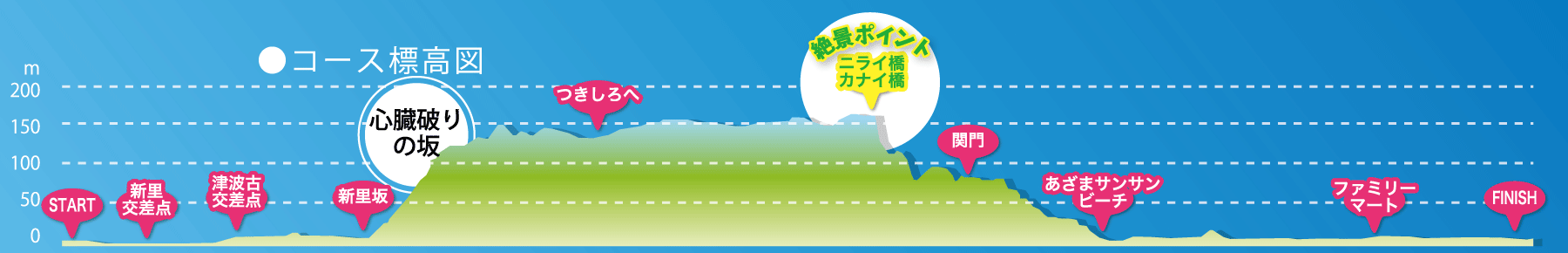 尚巴志ハーフマラソン コース高低差