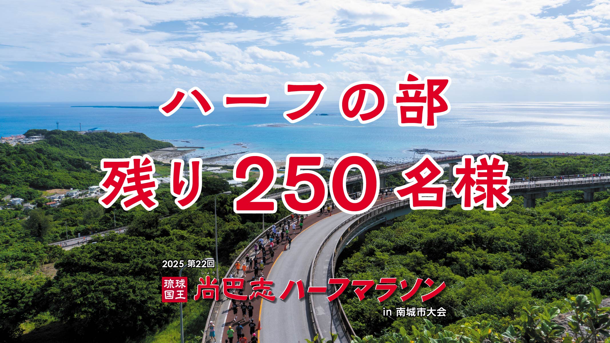 ハーフの部 残り250名様
